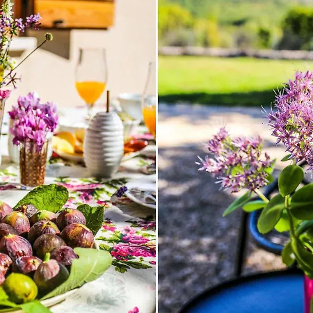 Mediterranean Countryside Retreat Brstanovo